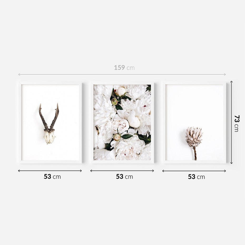 Zestaw obrazy w ramie 50x70 galeria - Kwiaty, boho, styl, minimalizm - rama biała