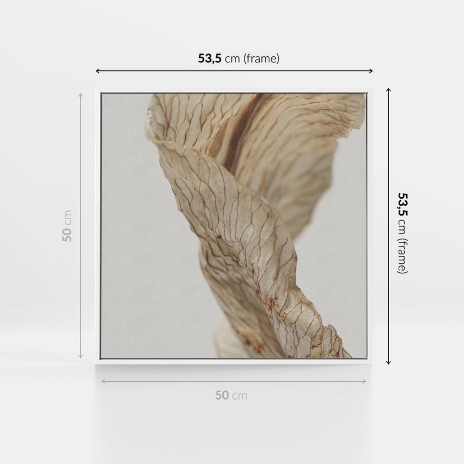 Obraz w ramie 50x50 - Suszone piękno - susz, suche - rama biała