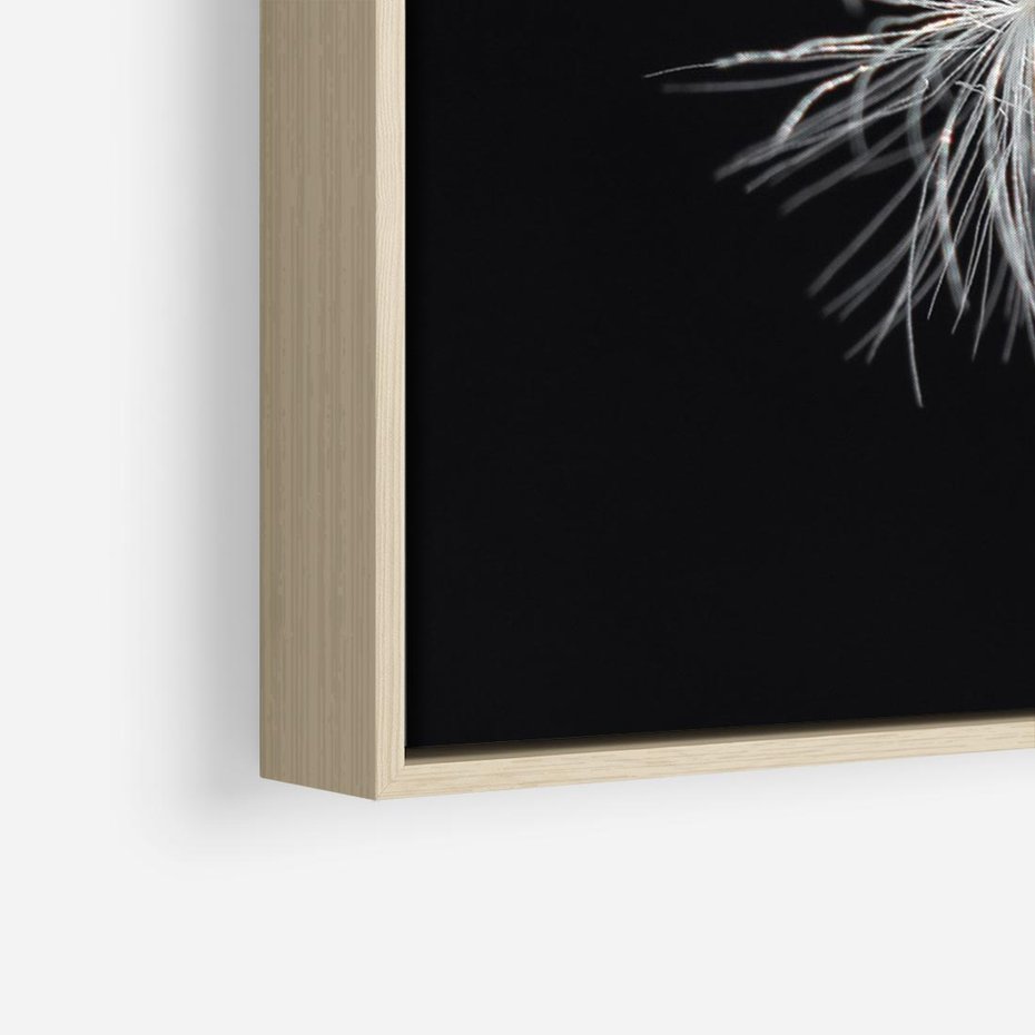 Obraz w ramie 70x50 - Delikatność Wiatru - dmuchawce, makro - rama drewno