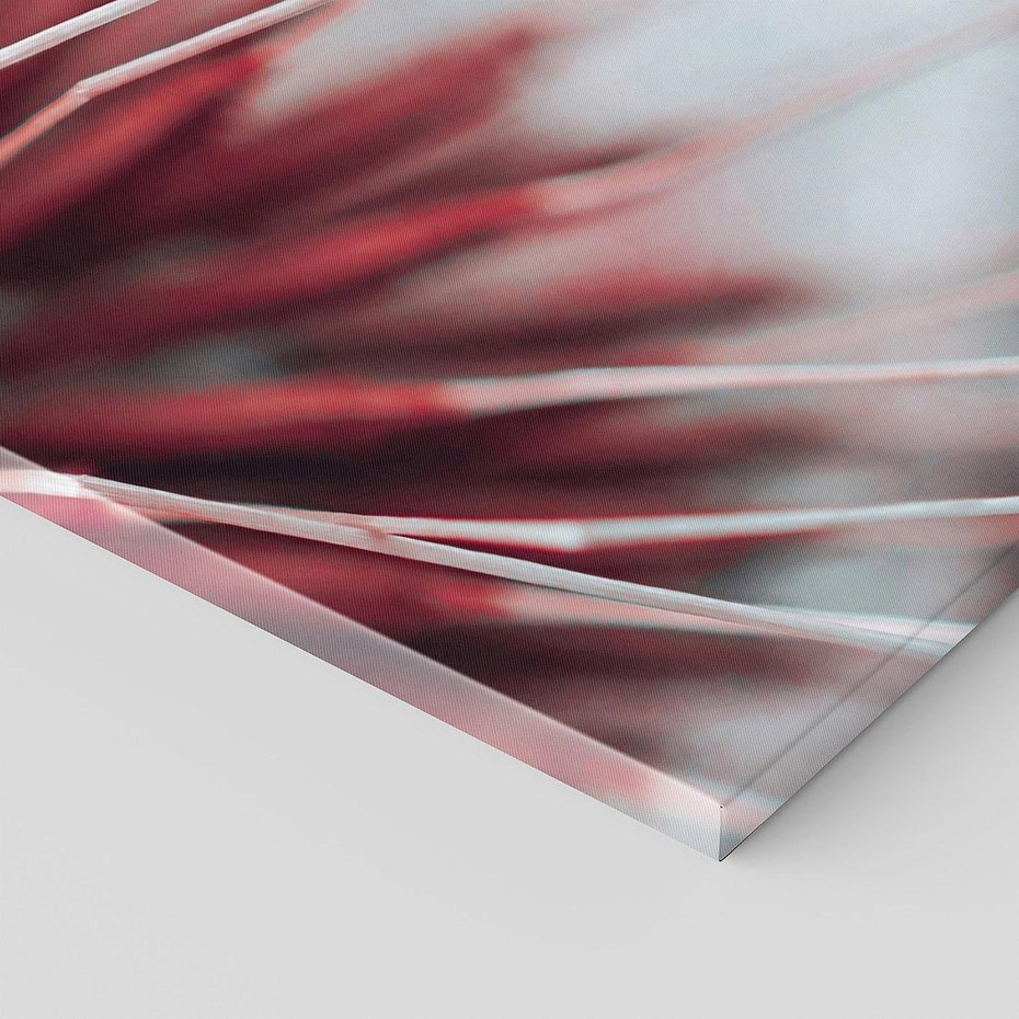 Obraz na płótnie 120x60 - Makro świat dmuchawca - dmuchawiec, makro