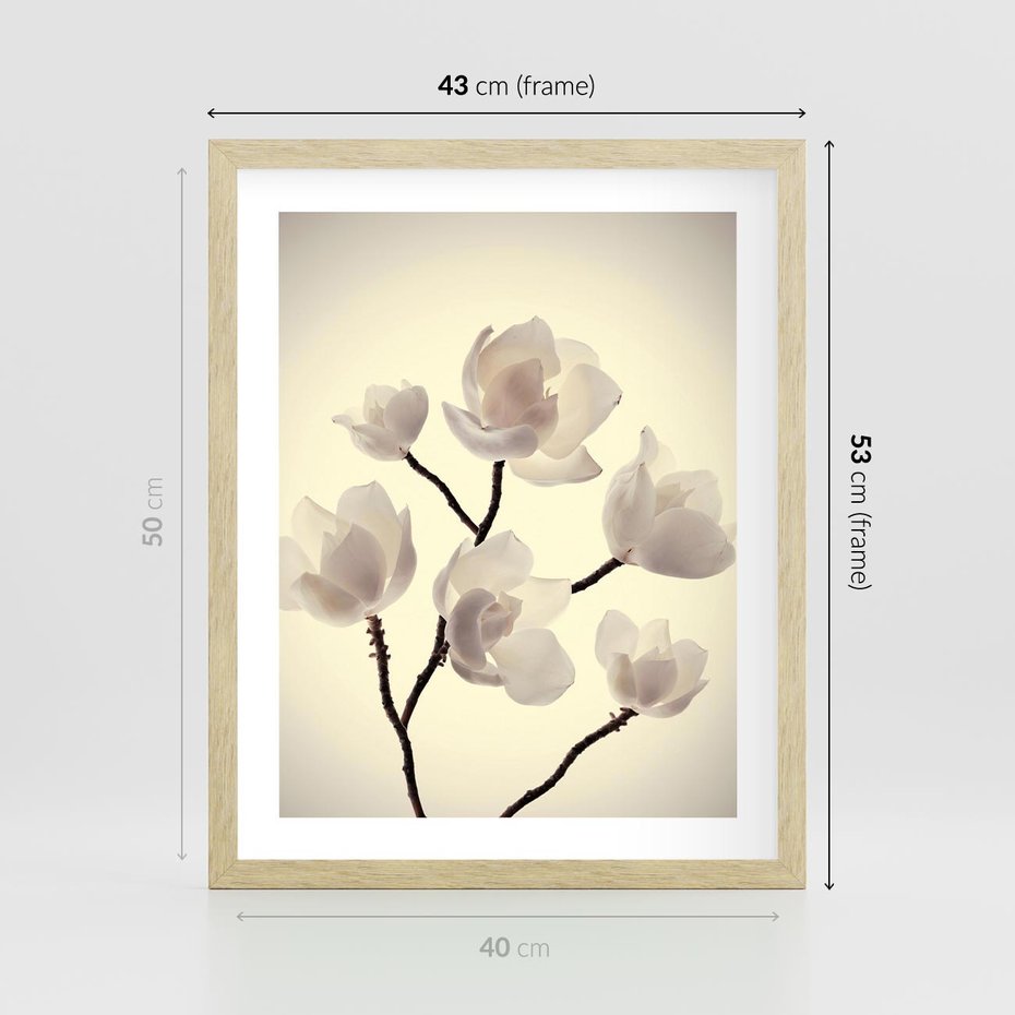 Plakat w ramie 40x50 - Elegancja Natury - magnolia, białe - rama drewno