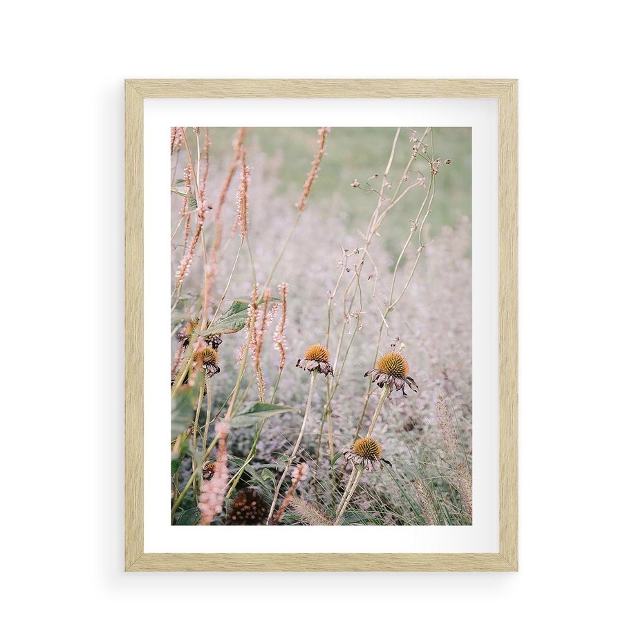 Plakat w ramie 40x50 - Przyroda w Pełnym Blasku: Kolorowa łąka z Kwiatami - łąka, kwiaty na łące - rama drewno