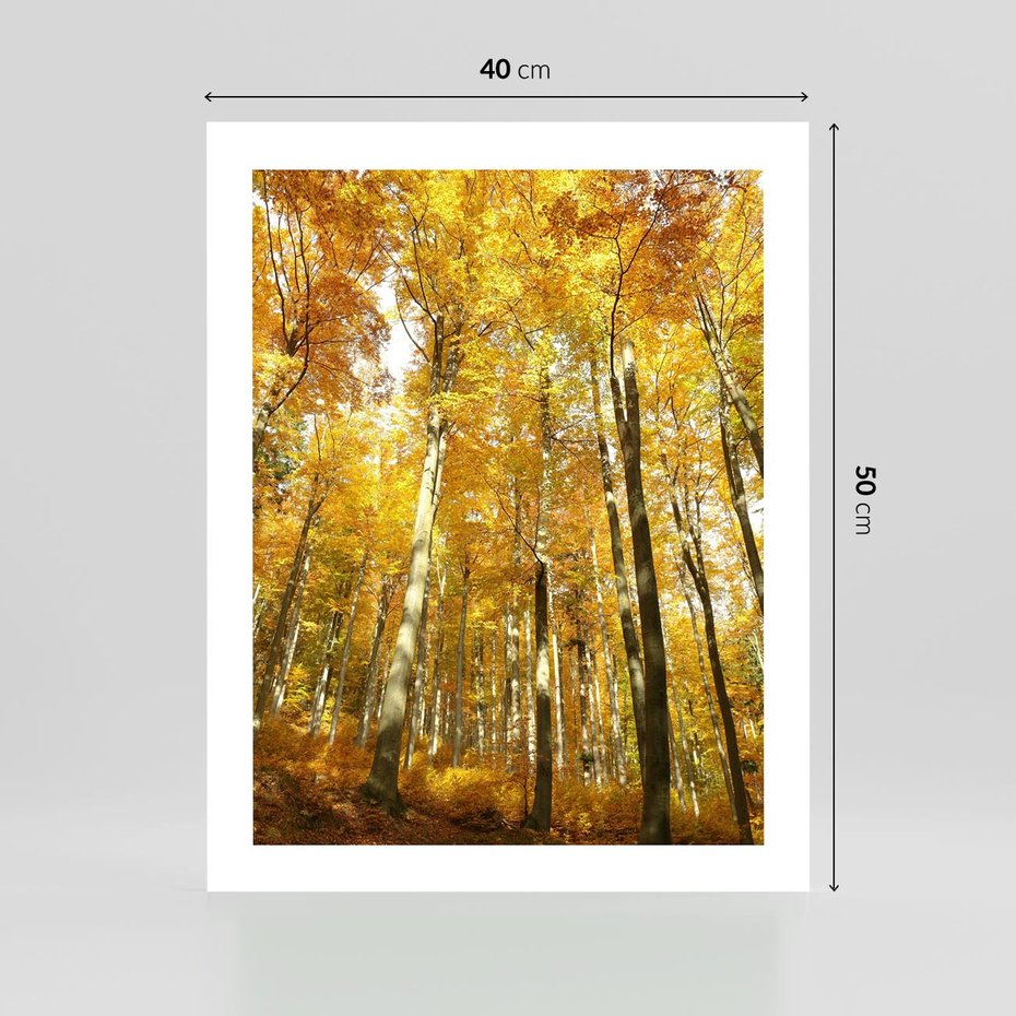 Plakat bez ramy 40x50 - Jesienny Las - Kolorowa Paleta Natury - jesień, drzewa