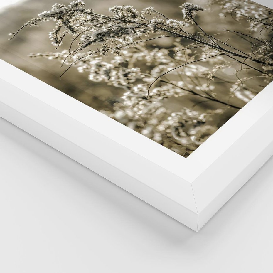 Plakat w ramie 30x40 - Pampas i Bocho - suche trawy, bocho - rama biała