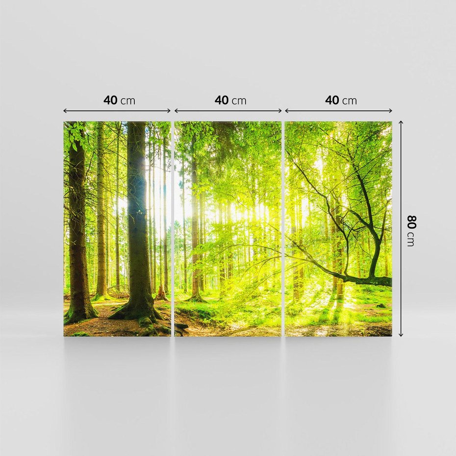 Obraz na płótnie 120x80 - Las w pełnym rozkwicie - las, drzewa