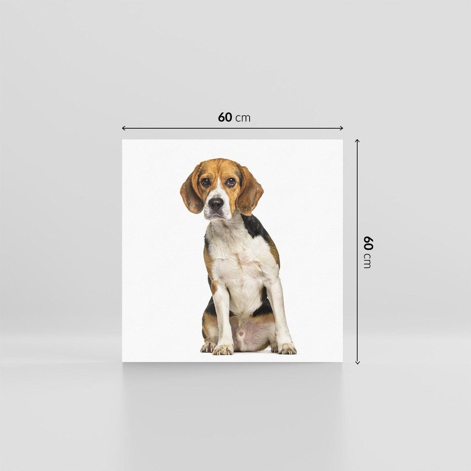 Obraz na płótnie 60x60 - Wierność i radość - pies, piesek