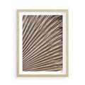Plakat w ramie 50x70 - Liść Palmy w Wyjątkowej Kompozycji - suchy liść palmy, boho styl - rama drewno