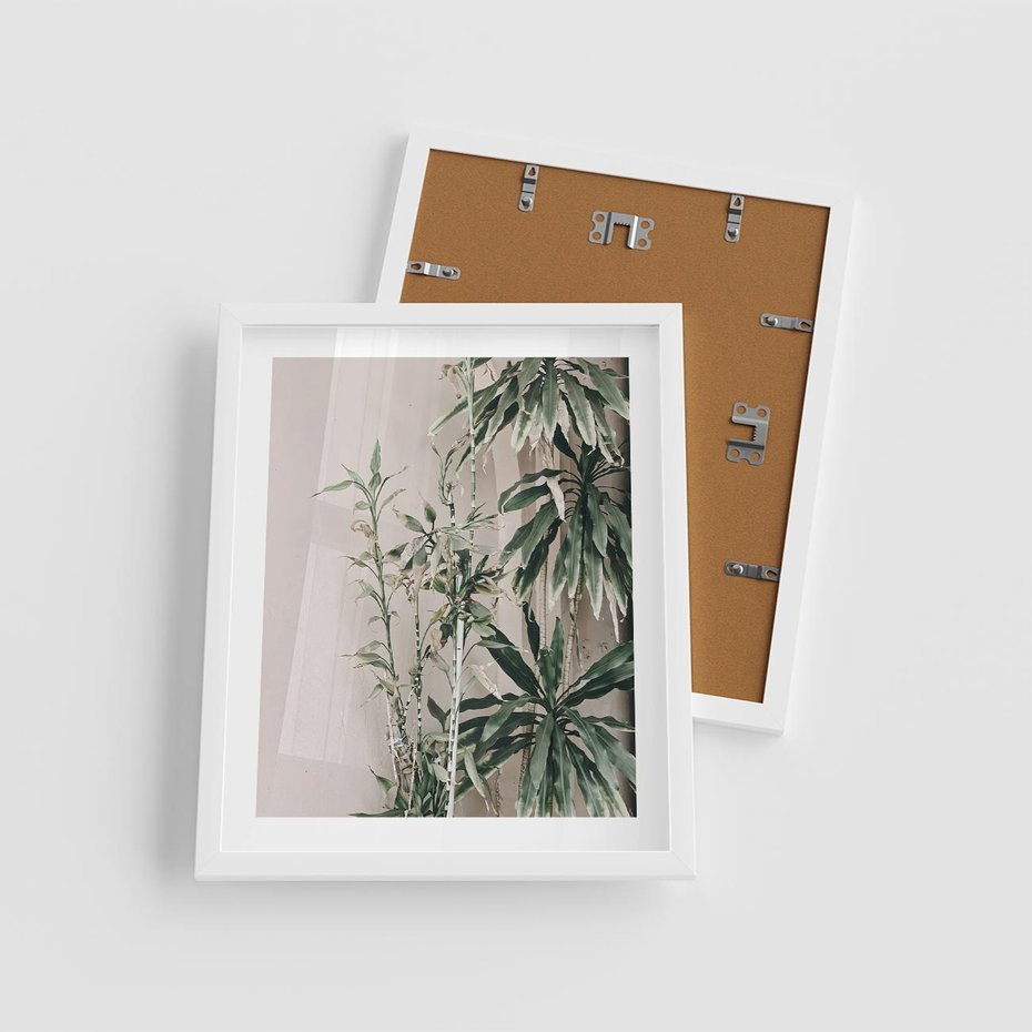 Plakat w ramie 40x50 - Egzotyczna Kompozycja - liście, rośliny tropikalne na tle ściany - rama biała