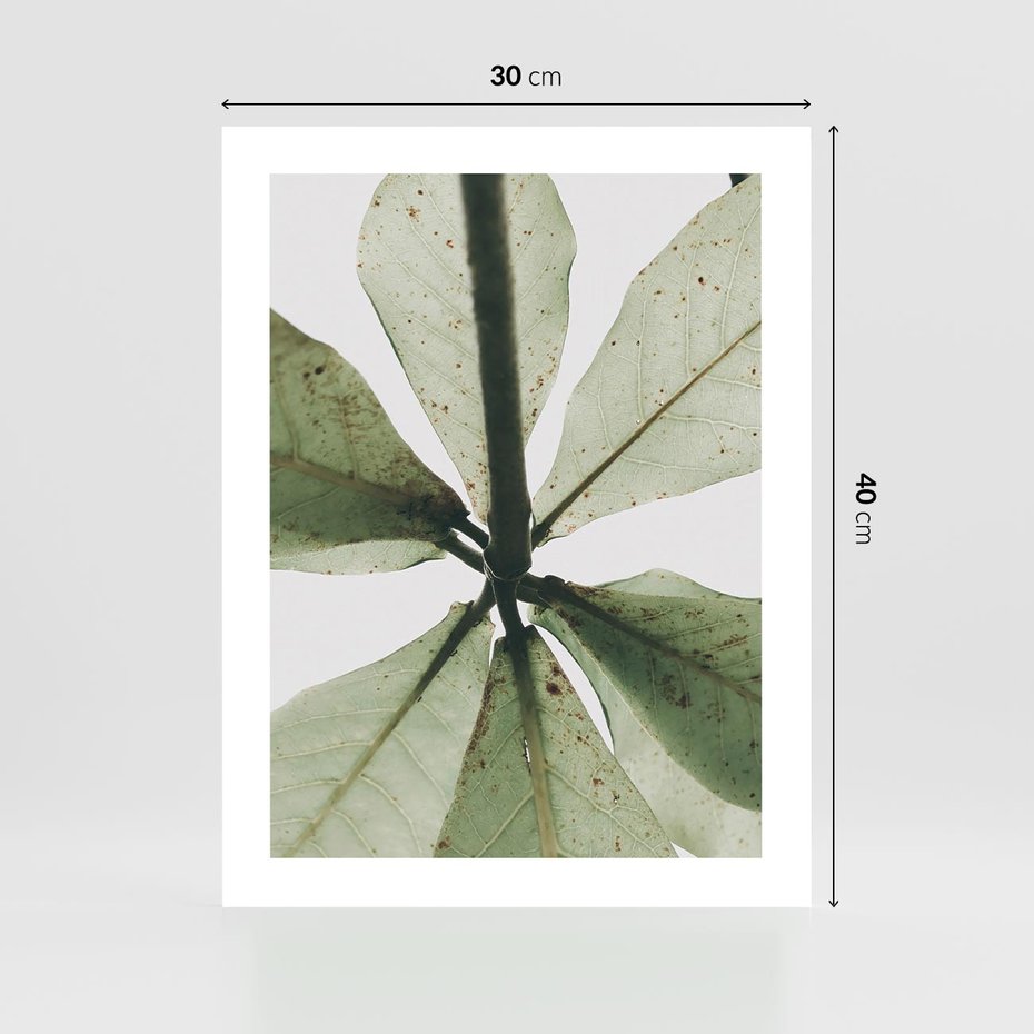 Plakat bez ramy 30x40 - Jasna Zieleń w Makro - makro zdjęcie liści, jasna zieleń