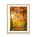 Plakat w ramie 50x70 - Złote barwy jesiennego lasu - las, jesień - rama drewno