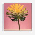 Obraz w ramie 80x80 - Majestatyczna monstera - monstera, liść - rama biała