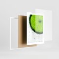 Plakat w ramie 30x40 - Świeżość i kwasowość limonki - limnka, owoce - rama biała