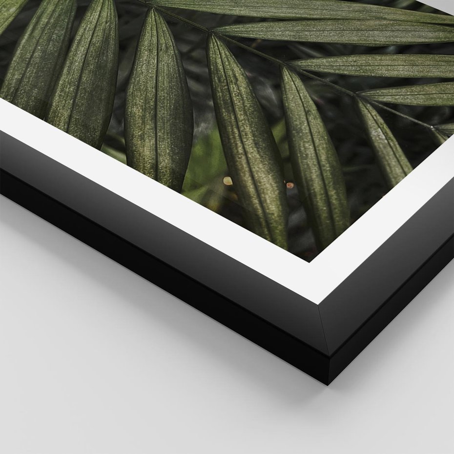 Plakat w ramie 50x70 - W Liściach Ukryte - zdjęcie, fotografia - rama czarna