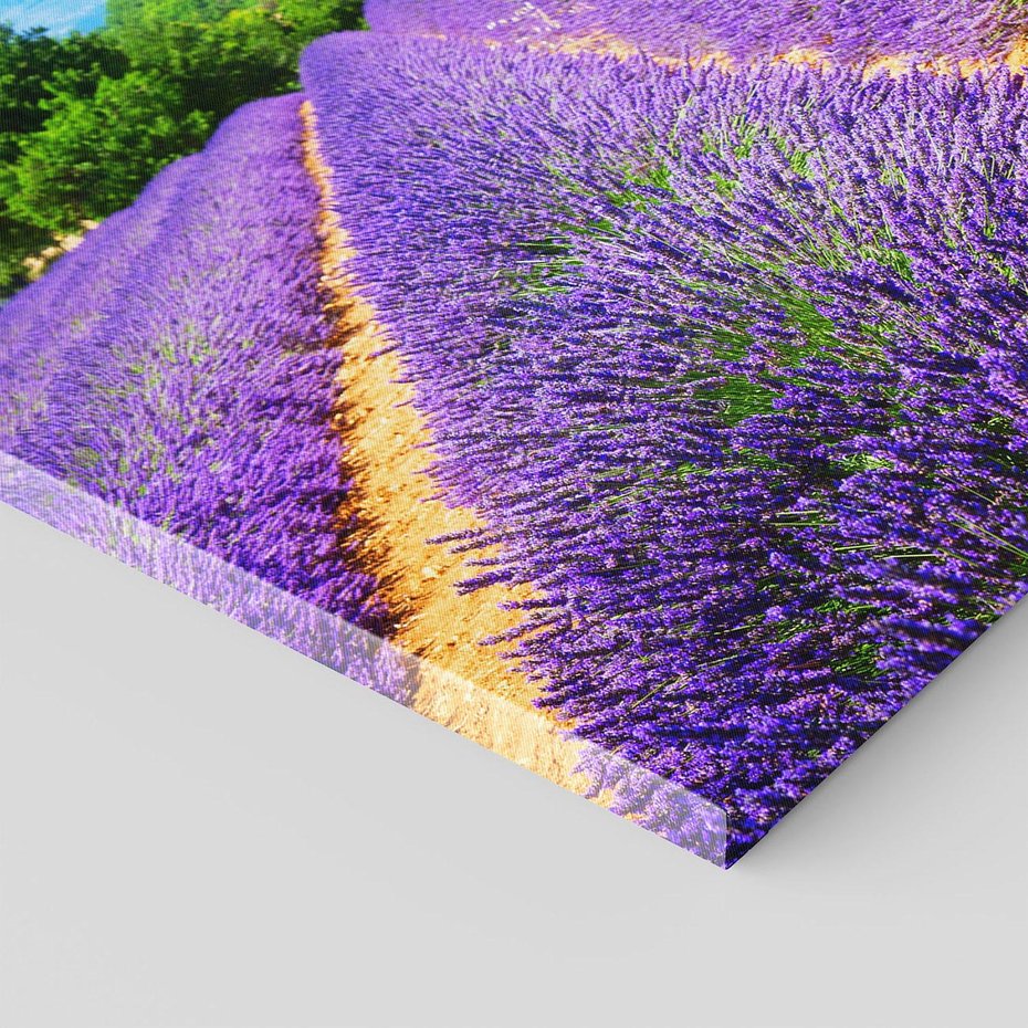 Obraz na płótnie 70x100 - Prowansalska Lawenda - lawenda, prowansja