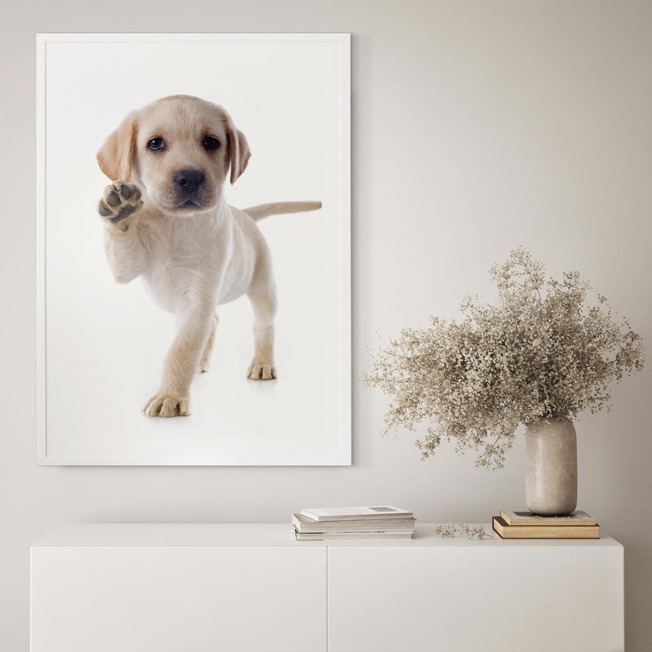 Plakat w ramie 30x40 - Szczeniak pełen radości - piesek, szczeniak - rama biała