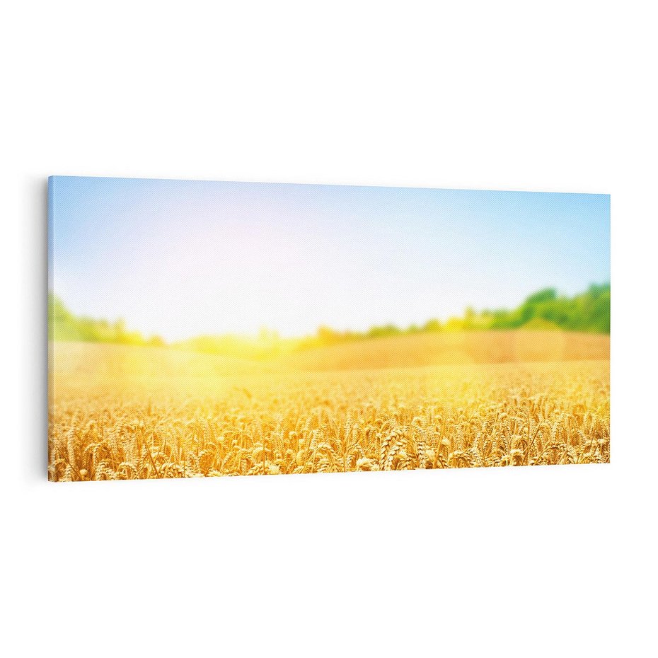 Obraz na płótnie 140x70 - Żyzne Pola - pole, pszenicy