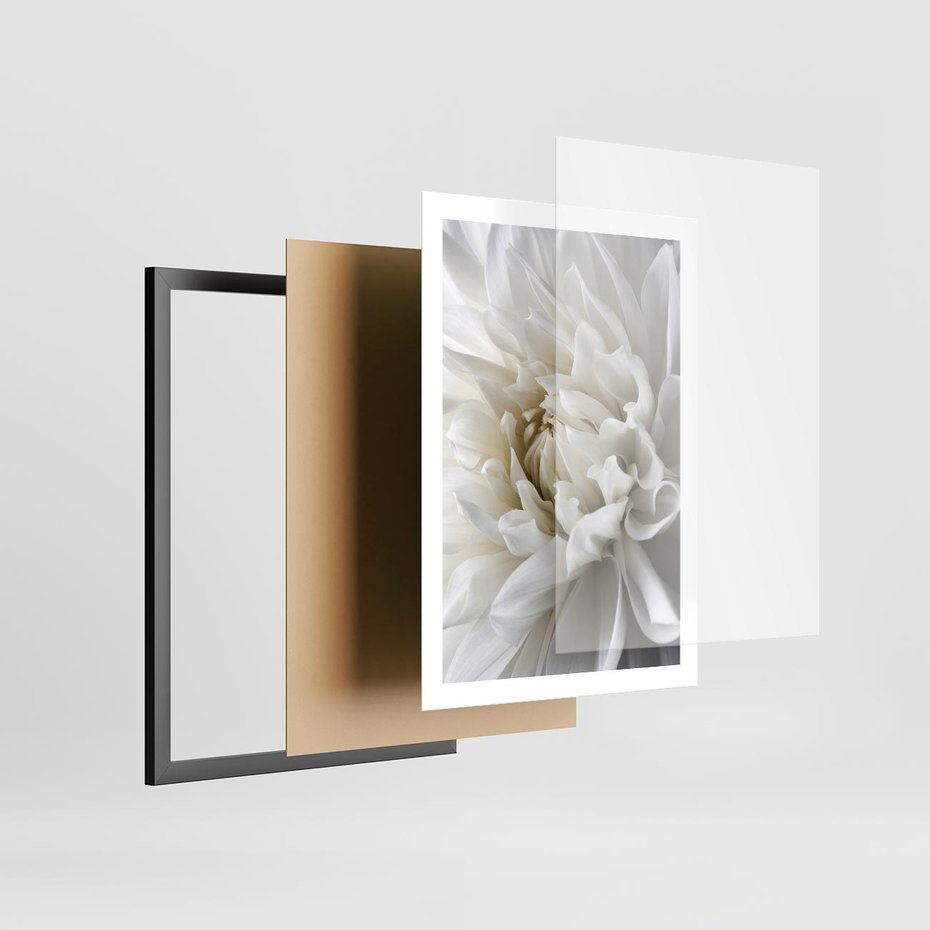 Plakat w ramie 50x70 - Białe Kwiaty Delikatności - białe, kwiaty - rama czarna