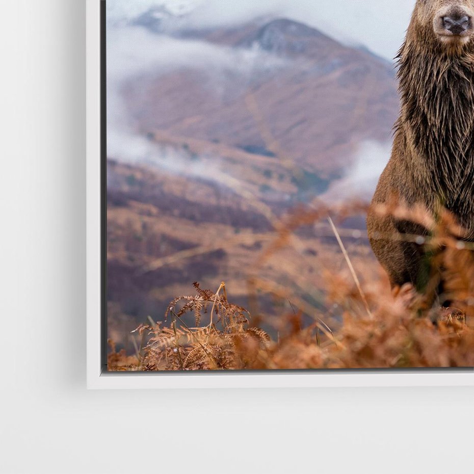 Obraz w ramie 50x50 - Jeleń w Uśpionym Krajobrazie - jeleń na tle gór, ośnieżone góry - rama biała