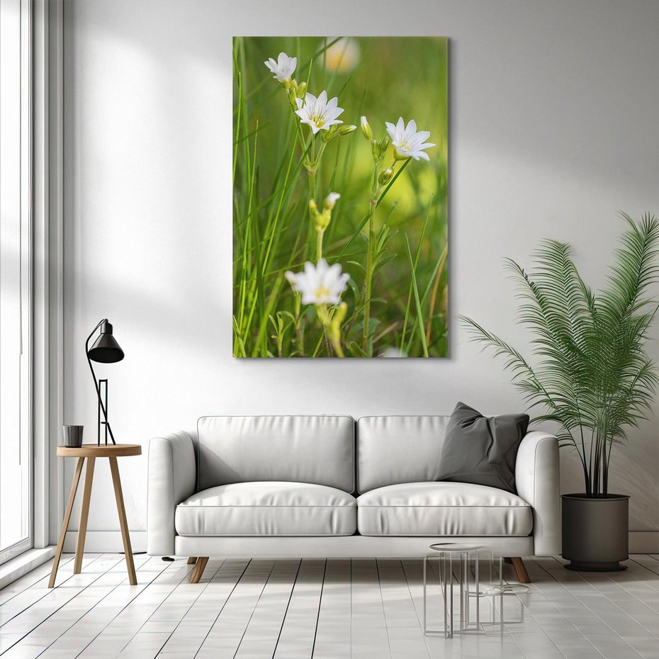 Obraz na płótnie 50x70 - Kolorowa łąka - stokrotki, łąka