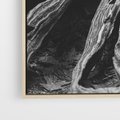 Obraz w ramie 50x70 - Siła Natury - czarno biała fotografia, korzenie wielkiego drzewa - rama drewno