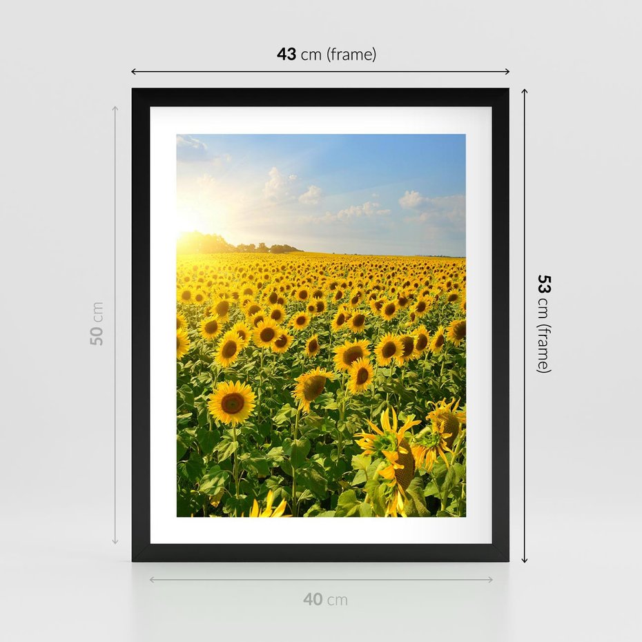 Plakat w ramie 40x50 - Idylla na łące słoneczników - łąka, słoneczniki - rama czarna