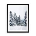 Plakat w ramie 50x70 - Zimowy Las Pod Kołdrą - las, zima - rama czarna