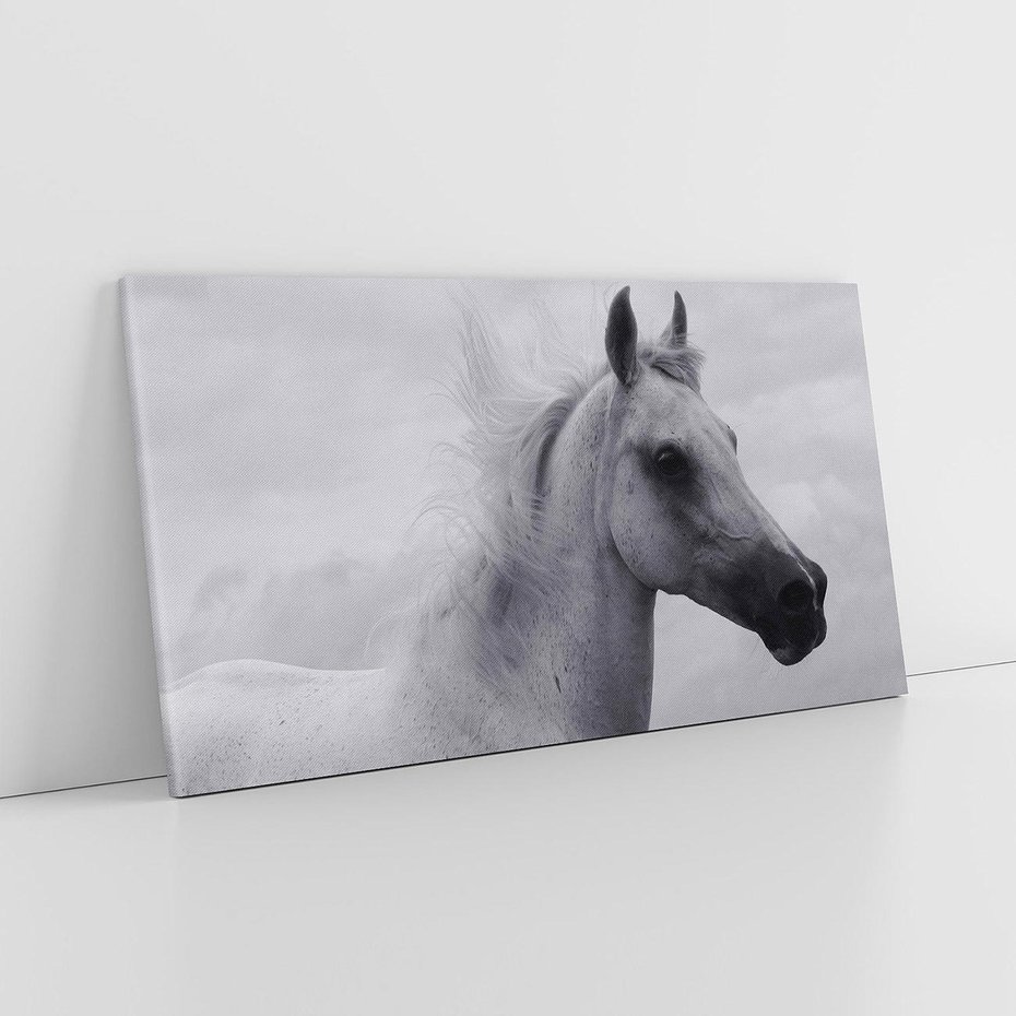 Obraz na płótnie 120x60 - Moc i Wolność - czarno biała fotografia, biały