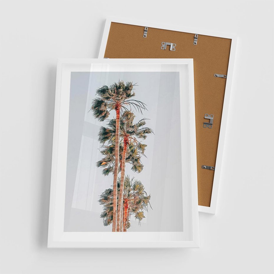 Plakat w ramie 50x70 - Kształty Palm - palmy, zdjęcie - rama biała