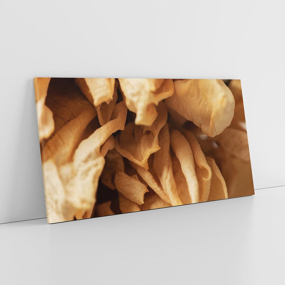 Obraz na płótnie 100x50 - Zjawiskowe zasuszone kwiaty - zasuszone, kwiaty