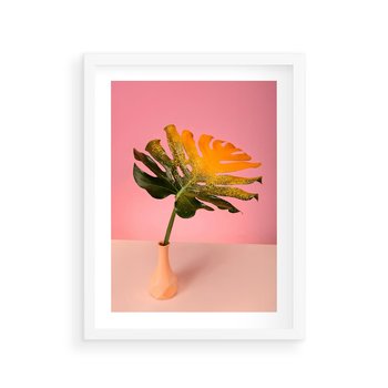Plakat w ramie 40x50 - Egzotyczna monstera - monstera, liść - rama biała