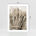 Plakat bez ramy 30x40 - Letni Plon - zboże, kłosy zboża
