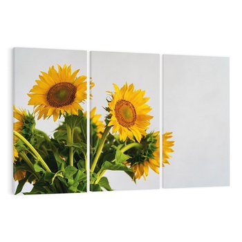 Obraz na płótnie 120x80 - Słoneczna Radość - fotografia, żółte słoneczniki