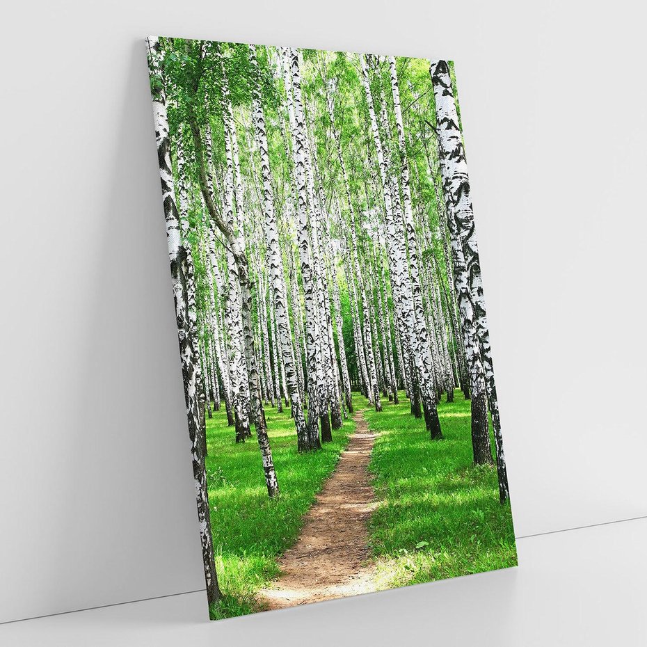 Obraz na płótnie 50x70 - Bajkowy las pełen brzóz - las, brzozy