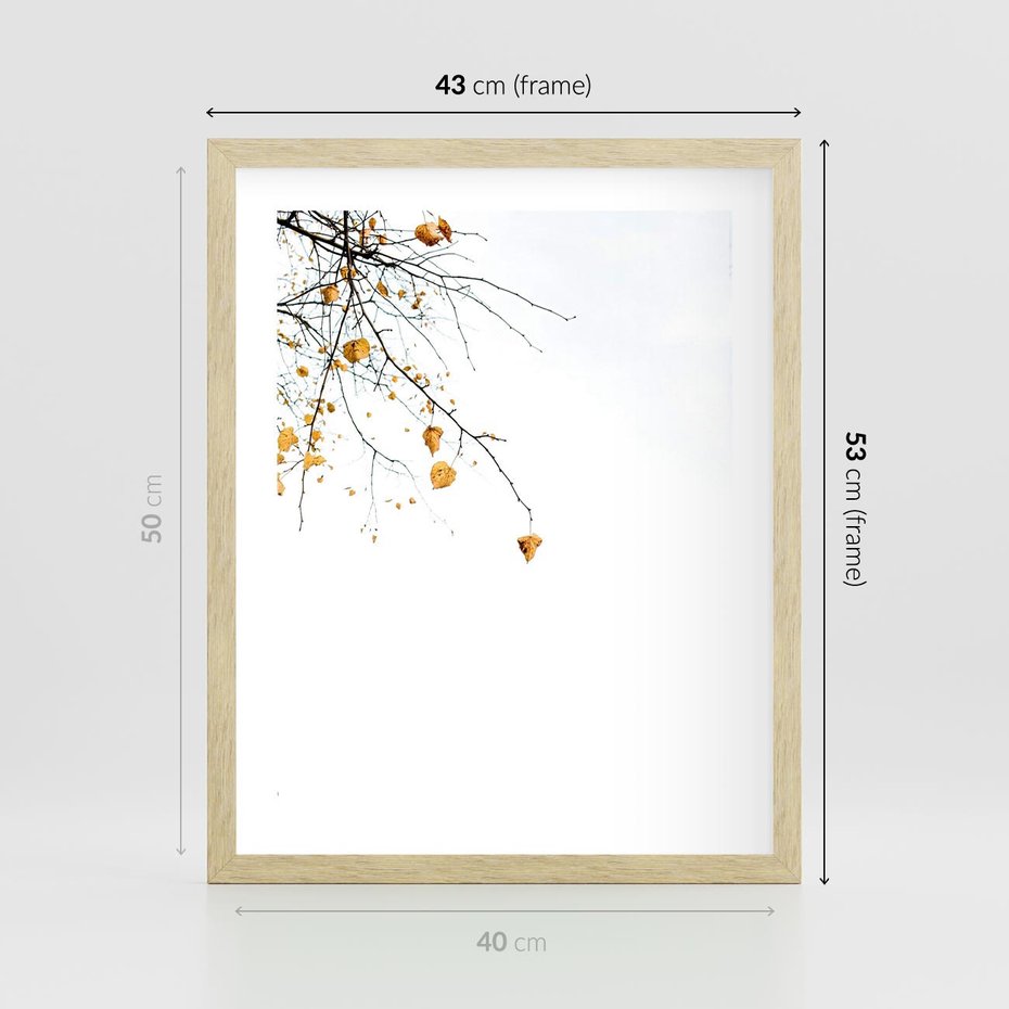 Plakat w ramie 40x50 - Złota Jesień - drzewo, żółte liście - rama drewno