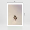 Plakat bez ramy 21x30 - Samotna Palma pod Niebem - samotna palma, na tle nieba