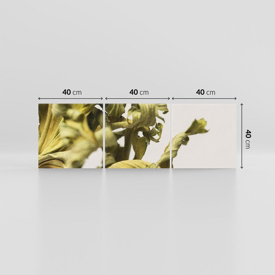 Obraz na płótnie 120x40 - Odejście pory deszczowej - suche, trawy