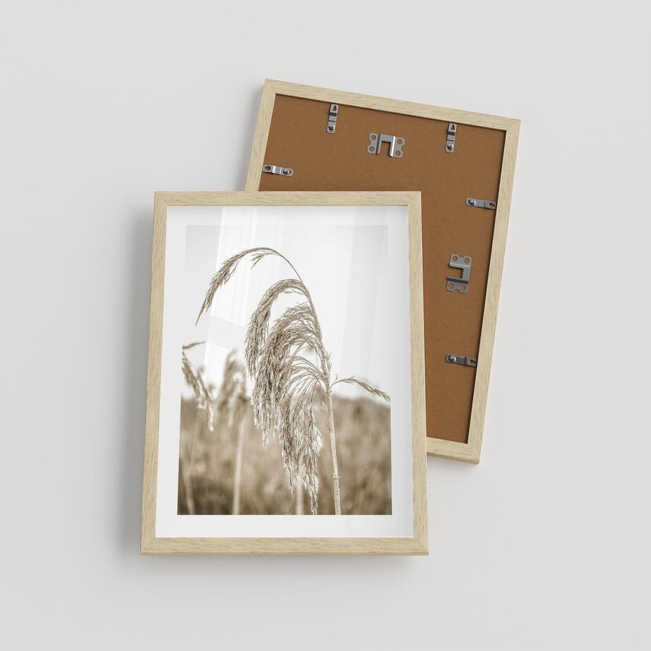 Plakat w ramie 30x40 - Ujęcie Suchych Traw - suche trawy, zbliżenie - rama drewno