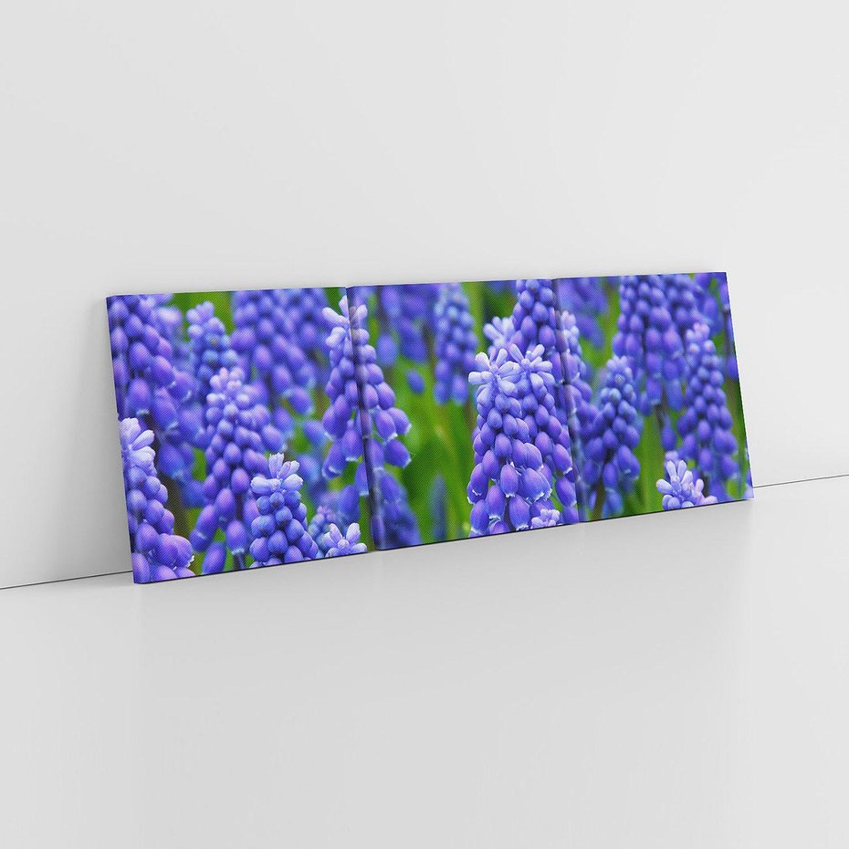 Obraz na płótnie 120x40 - Urok Lawendy - lawenda, kwiat