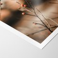 Plakat bez ramy 30x40 - Jarzębina w Pejzażu - jesień, gałązka