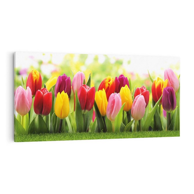 Obraz na płótnie 100x50 - delikatność kwiatowego świata - tulipany, kwiaty