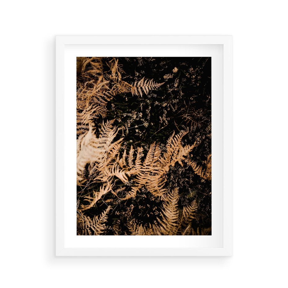 Plakat w ramie 40x50 - Jesienne Paprocie: Kolorowa Paleta Natury - paprocie, jesień - rama biała