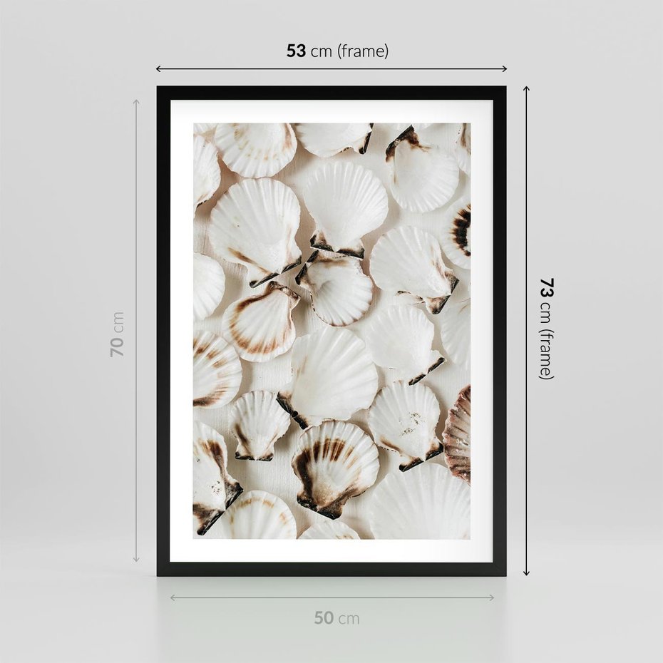 Plakat w ramie 50x70 - Białe Muszle - białe muszle, ujęcie z góry - rama czarna