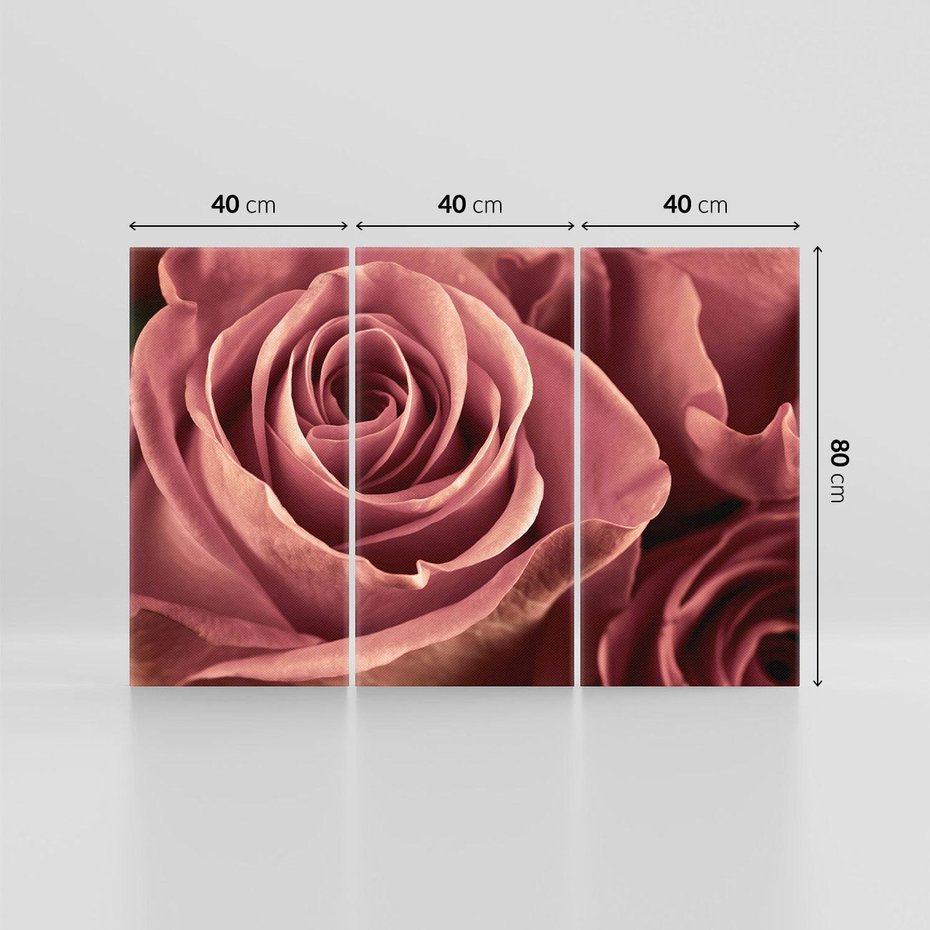 Obraz na płótnie 120x80 - Romantyczna Róż - róża, kwiat