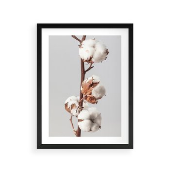 Plakat w ramie 50x70 - Spokojna Gałązka Bawełny - gałązka bawełny, prosta spokojna fotografia - rama czarna
