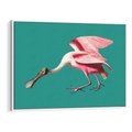 Obraz w ramie 120x80 - Różowy Ptak Wyobraźni - różowy ptak, wyobraźnia - rama biała