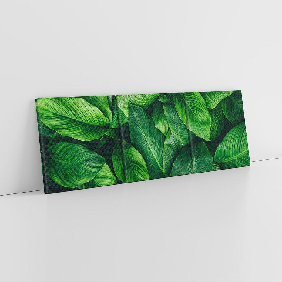 Obraz na płótnie 120x40 - Palma Liście Kwiat - palma, liście