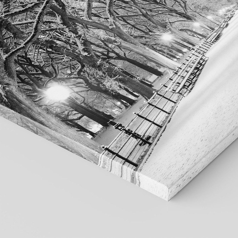 Obraz na płótnie 100x70 - cisza wśród drzew - zima, park