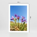 Plakat bez ramy 21x30 - Kwiatowa siła łąki - kwiaty, łąka