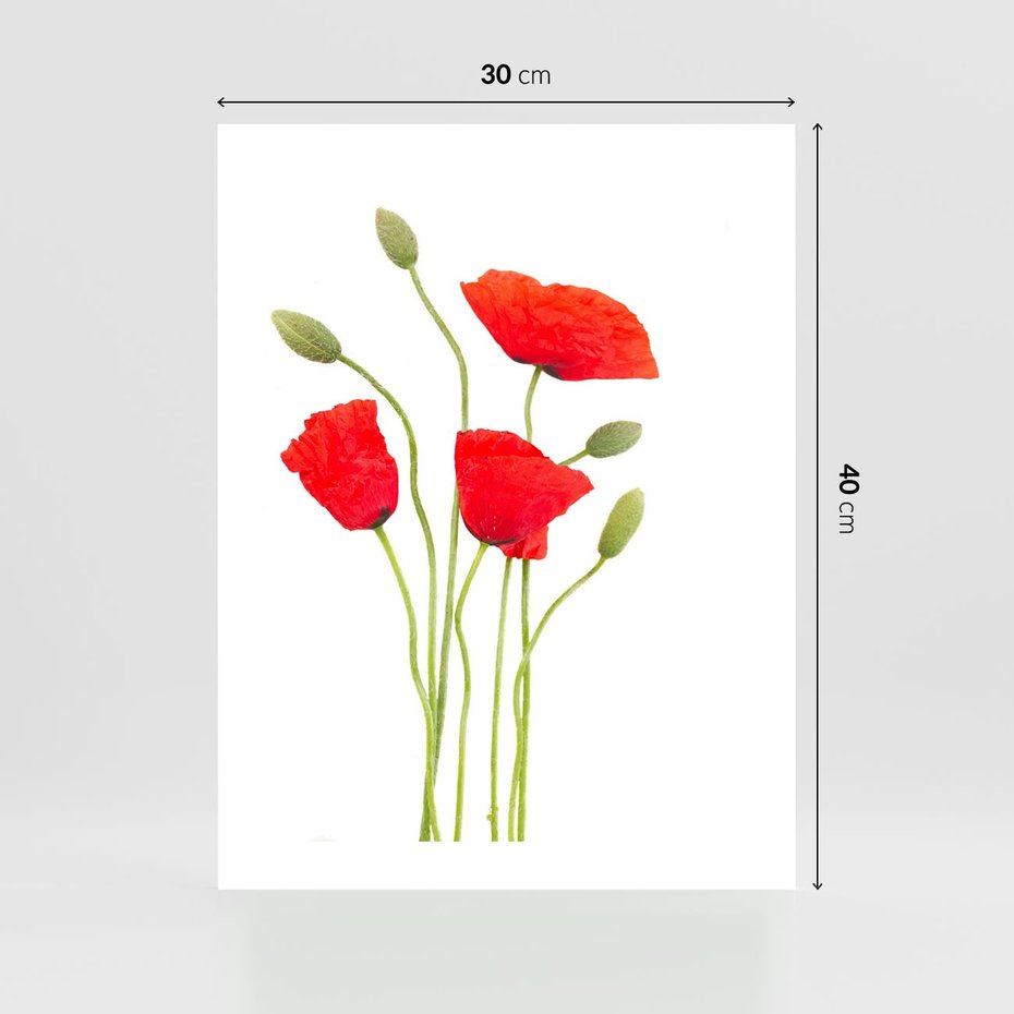 Plakat bez ramy 30x40 - Pola maków w pełnym kolorze - maki, kwiaty