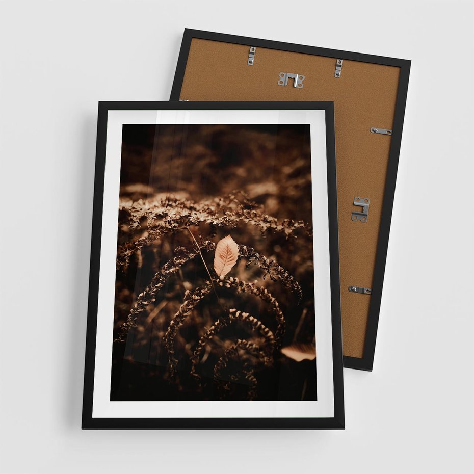 Plakat w ramie 50x70 - Gałęzie i Liść w Brązowej Tonacji - suche gałęzie, liść - rama czarna